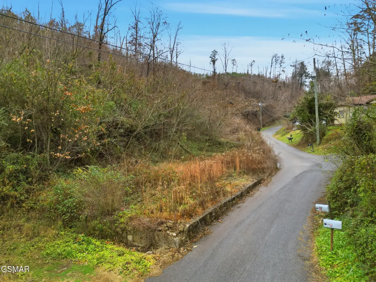 119 Hickam Hollow Road, Gatlinburg, TN 37738 - Image #1