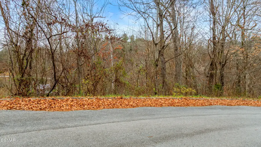 Lot 22 Penelope Lane, Sevierville, TN 37876 - Image #2