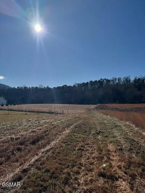 162 County Line Road, Dandridge, TN 37725 - Image #3