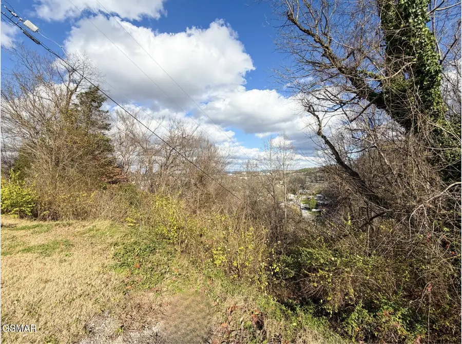 Lot 25 Scenic Loop Rd, Pigeon Forge, TN 37863 - Image #3