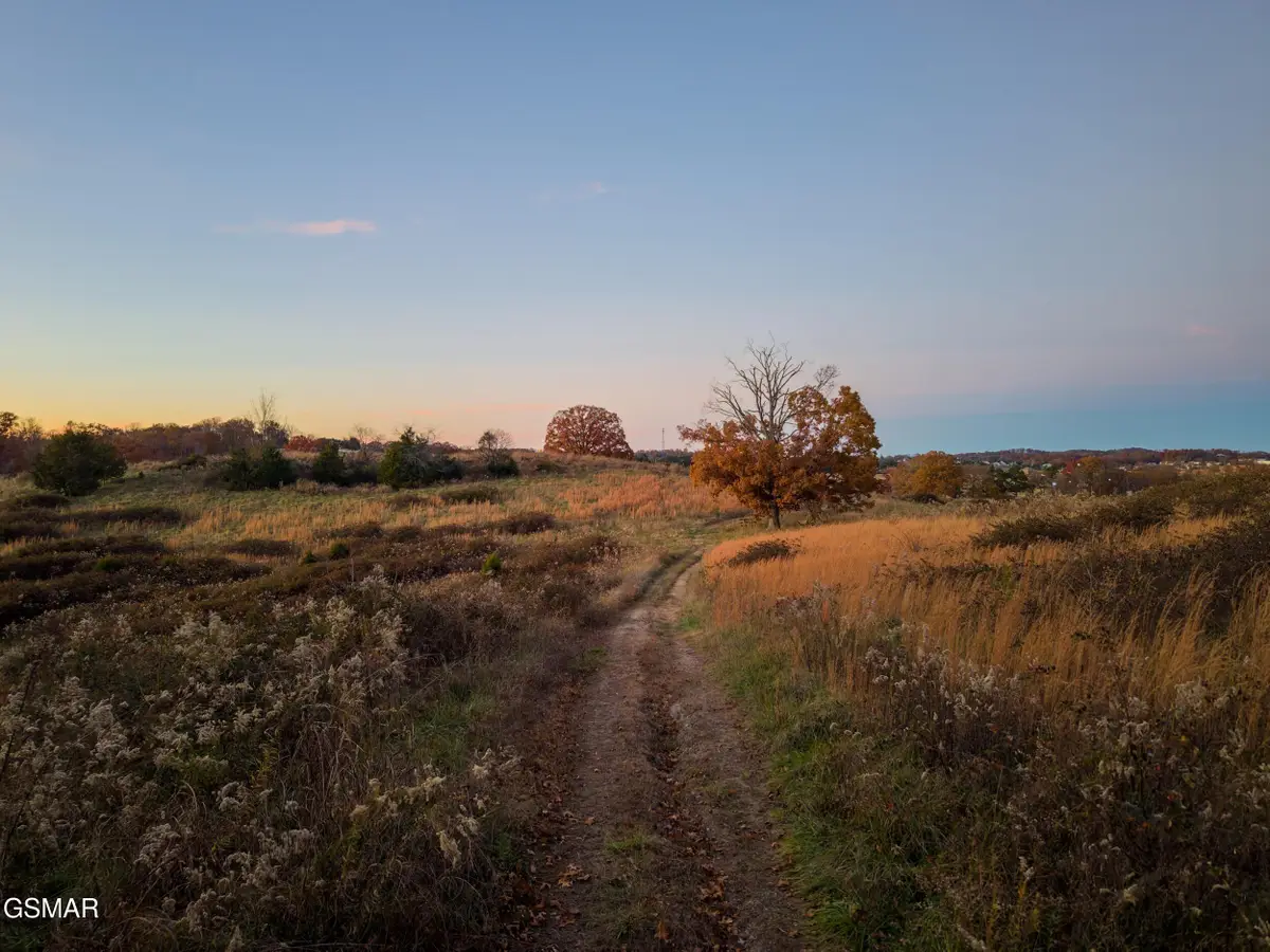 830 Hillside Drive, Dandridge, TN 37725 - Image #1