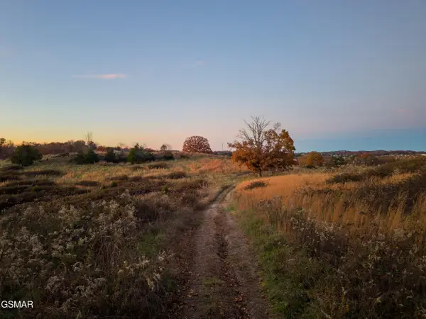 830 Hillside Drive, Dandridge, TN 37725