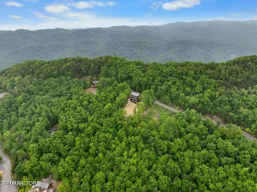 4875 Settlers View Lane, Sevierville, TN 37862 - Image #3
