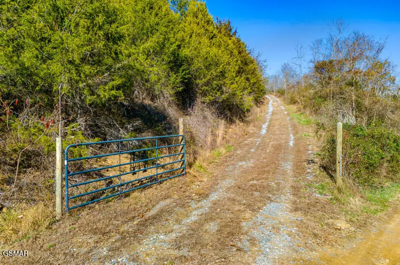 125 Picadilly Way, Parrottsville, TN 37843 - Image #3