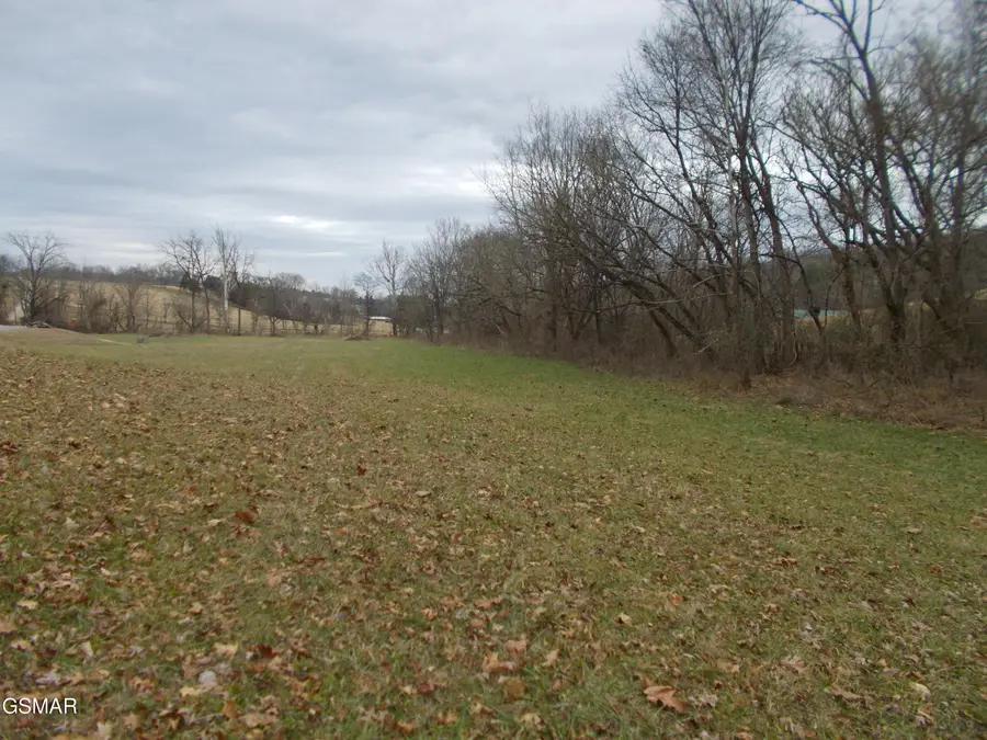 440 Mountain Lake Way, Newport, TN 37821 - Image #2