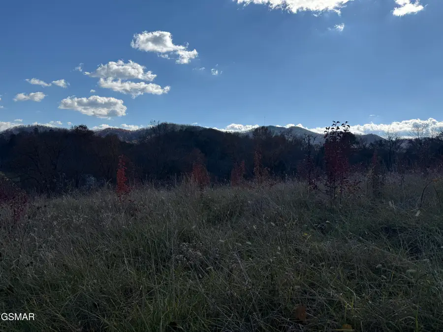 0000 Jayell Road, Sevierville, TN 37862 - Image #2