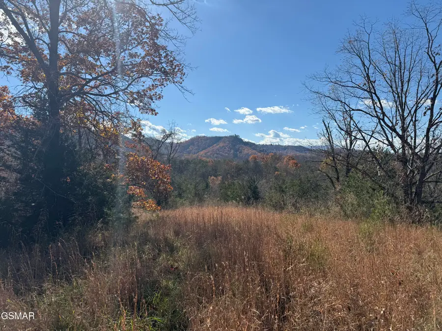 0000 Jayell Road, Sevierville, TN 37862 - Image #3