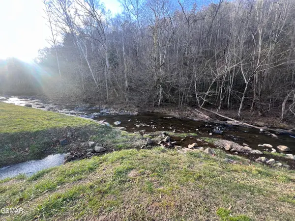 0 Blue Mill Road, Del Rio, TN 37727