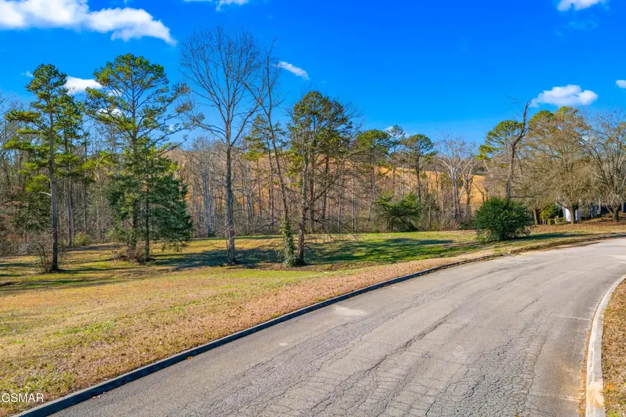Lots 10&11 Lakebrook Circle, Dandridge, TN 37725 - Image #3
