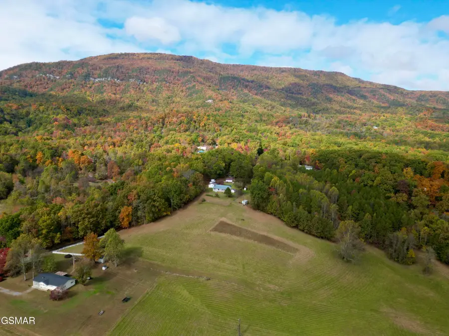 990 Keener Road, Cosby, TN 37722 - Image #2