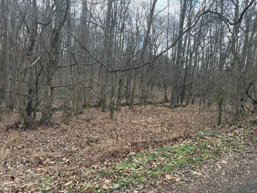 Lot 4 Pilgrim Road, Dandridge, TN 37725 - Image #2