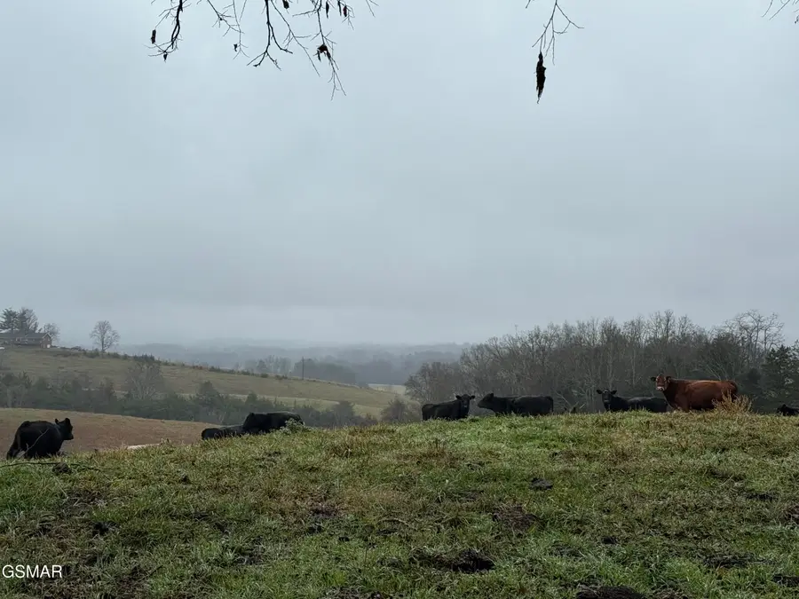 570 Red Bud Lane, Sevierville, TN 37876 - Image #2