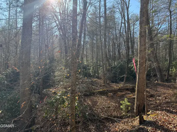 805 Bogard Creek Road, Cosby, TN 37722