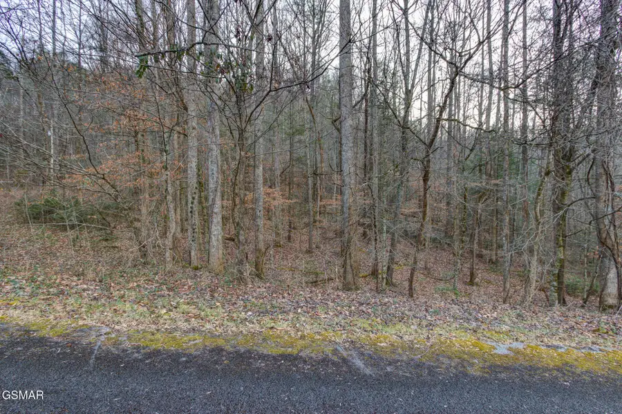 4120 Highland Road, Cosby, TN 37722 - Image #3