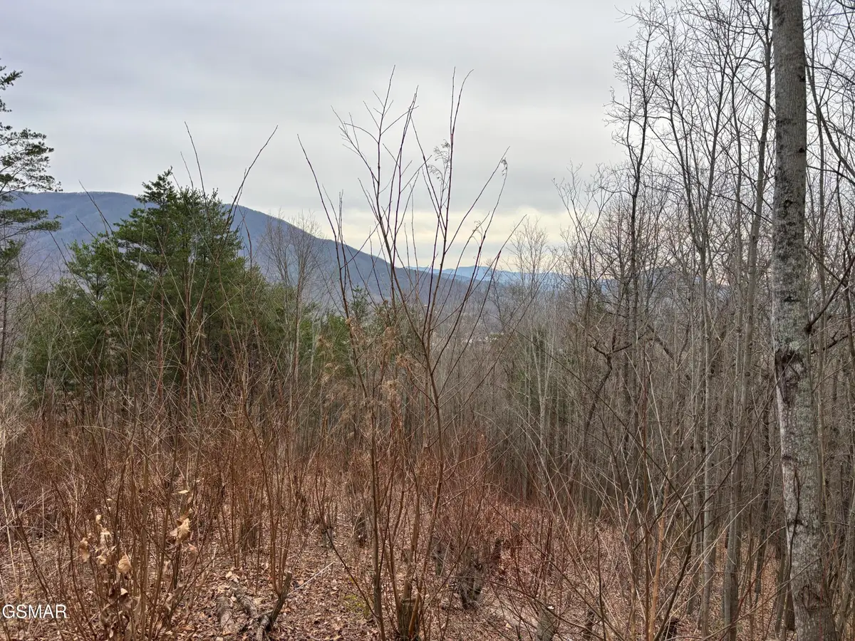 Lot 19 Dogwood Ridge Way, Sevierville, TN 37862 - Image #1
