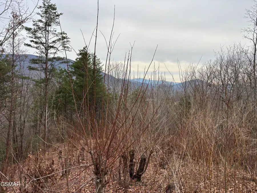 Lot 19 Dogwood Ridge Way, Sevierville, TN 37862 - Image #2