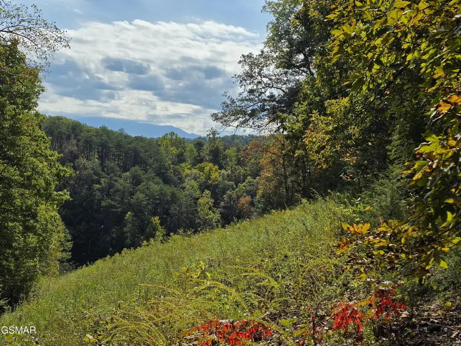 1009 Franklin Lane, Sevierville, TN 37876 - Image #3