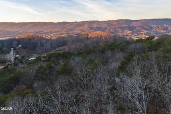 1655 Lester Whitt Road, Rutledge, TN 37861