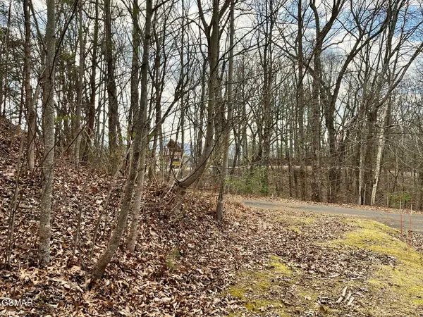 106 & 107 Dollys Drive, Sevierville, TN 37876