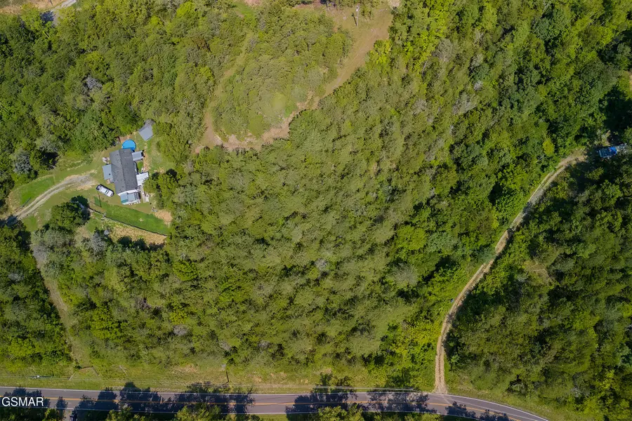 Lot 12 Windfall Estates Dr, Sevierville, TN 37876 - Image #3
