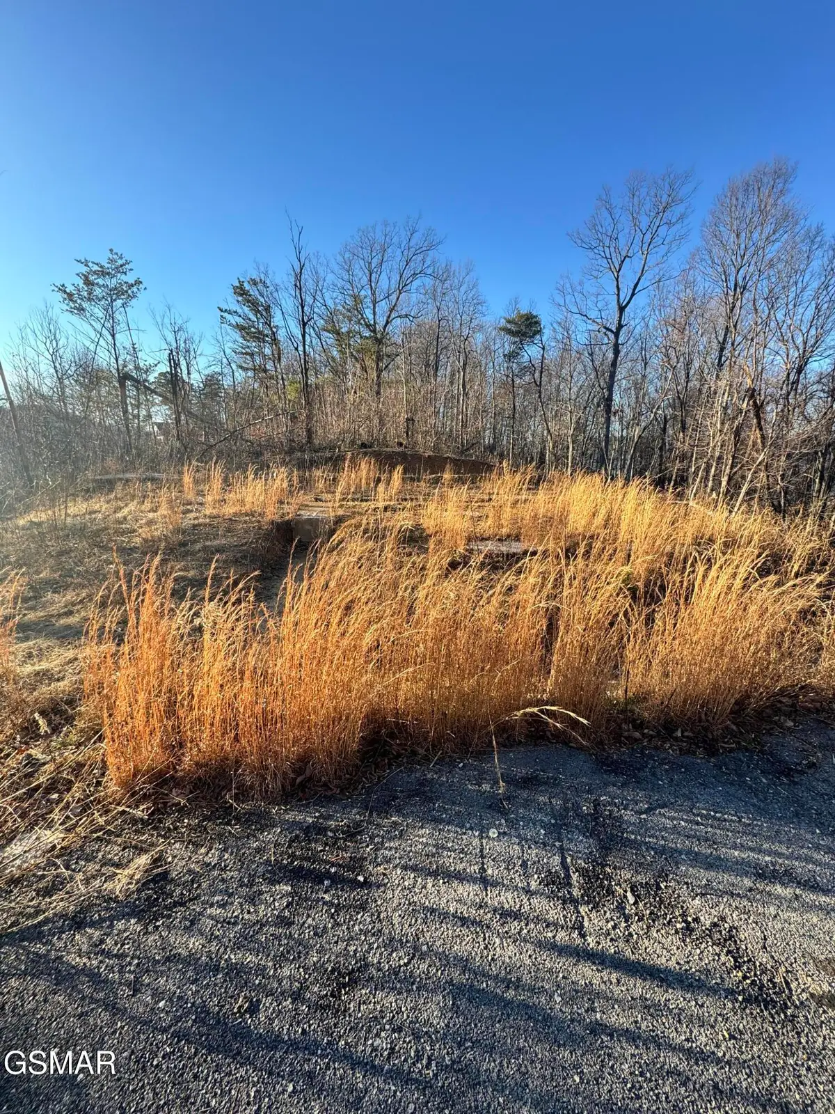 3361 Sugar Maple Loop Road, Sevierville, TN 37862 - Image #1