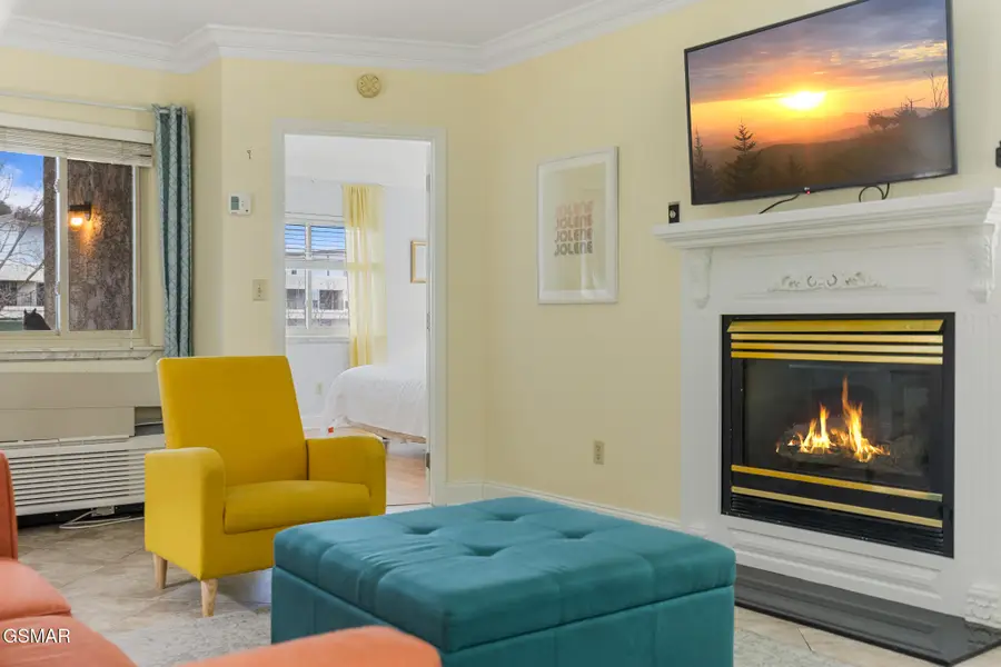 3215 N River Road #STE 503, Pigeon Forge, TN 37863 - Image #3