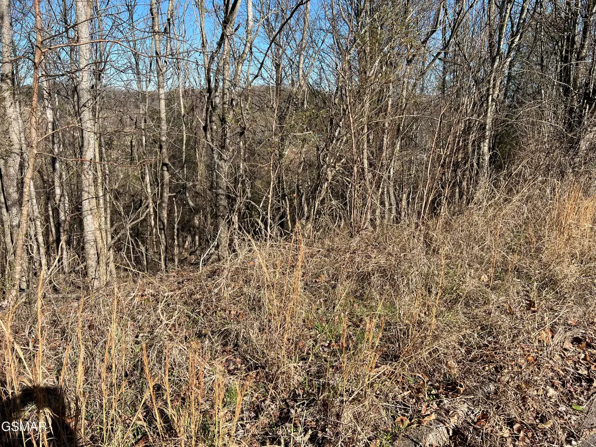 Lot 2 Baldwin View Drive, New Market, TN 37820 - Image #1