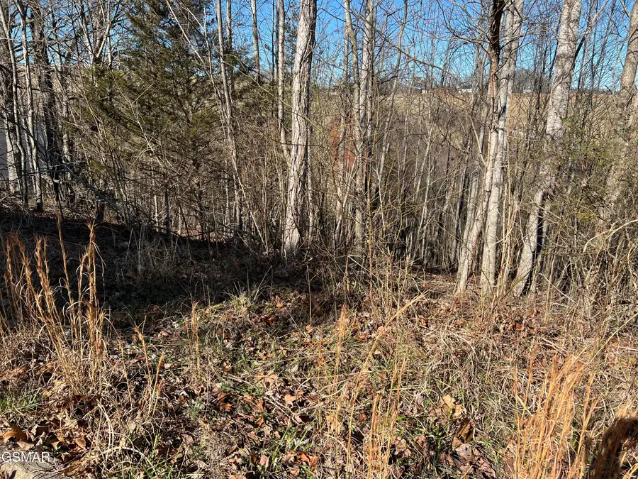 Lot 2 Baldwin View Drive, New Market, TN 37820 - Image #2