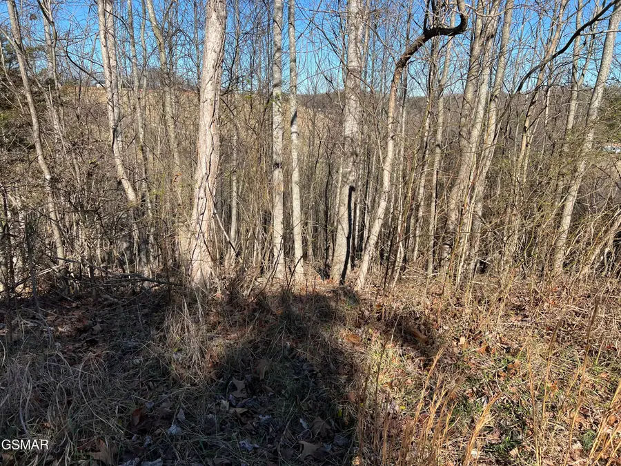 Lot 2 Baldwin View Drive, New Market, TN 37820 - Image #3