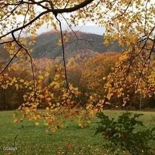 00 Mountain Laurel Way, Cosby, TN 37722