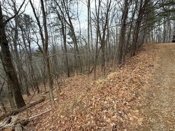 1.01 Ac Green Forest Road, Cosby, TN 37722