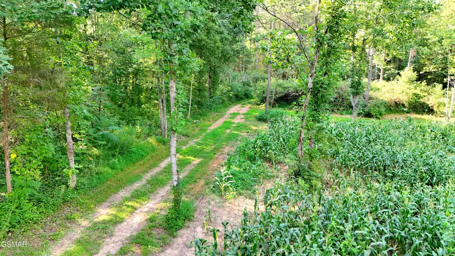 Tract 17 Pleasant View Cemetery Road, New Market, TN 37820 - #3