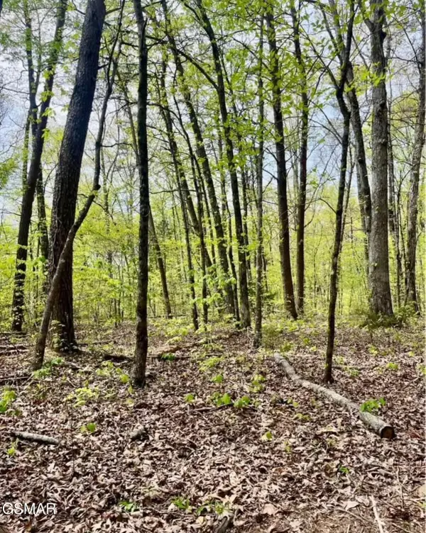 2682 Atchley Rd Lot 1, Sevierville, TN 37876