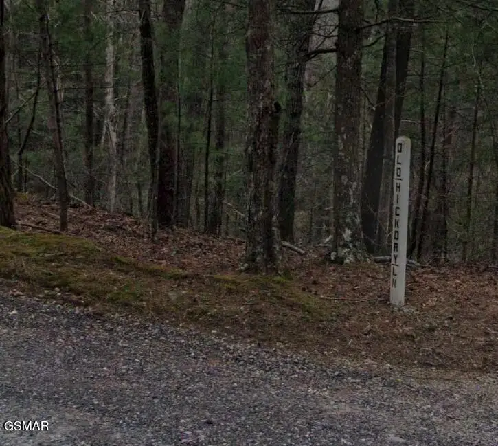 0 Old Hickory Road, Coker Creek, TN 37385 - #1