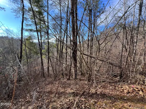 2331 Willow Lane, Sevierville, TN 37862