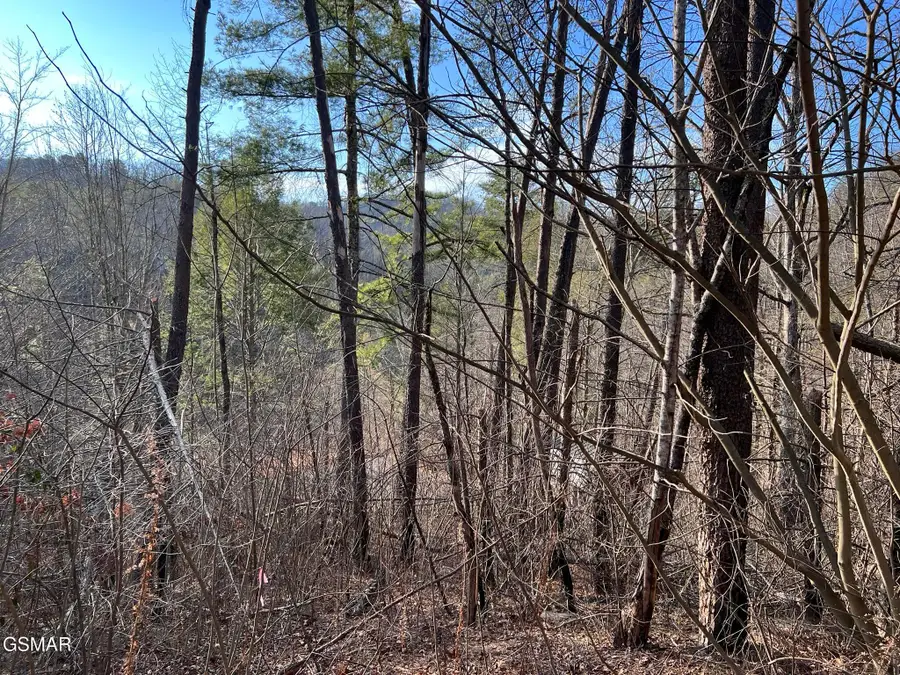 2331 Willow Lane, Sevierville, TN 37862 - Image #2