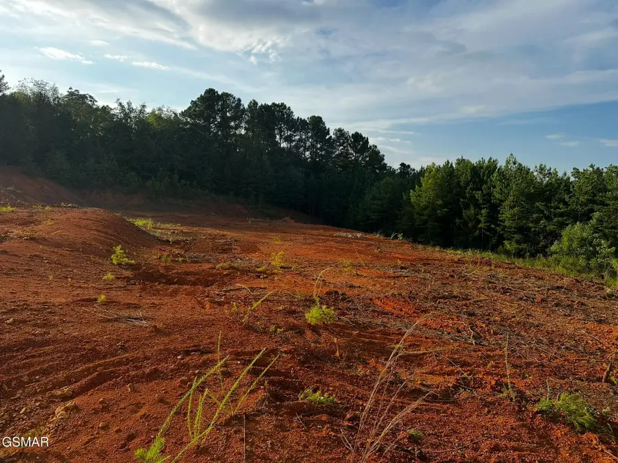 1 E Meeting Street, Dandridge, TN 37725 - #3