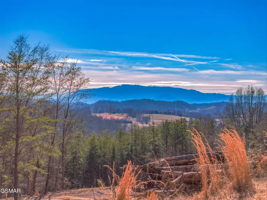 Lot 51R Kenneth Overlook, Kodak, TN 37764 - Image #3