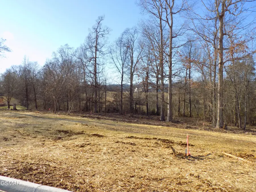 Lot 38 Graystone Shoals, Morristown, TN 37814 - Image #3