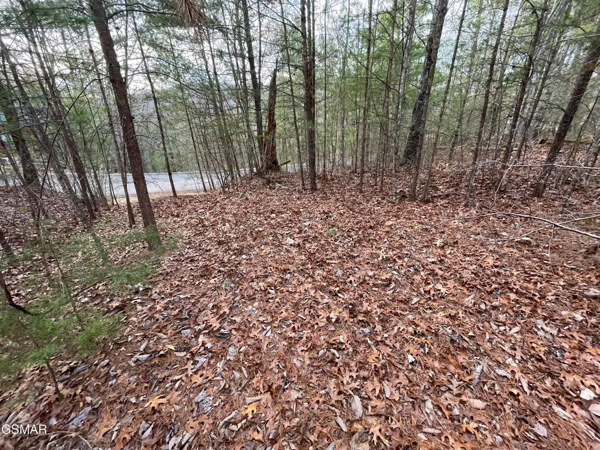 Lot 79 Whetstone Road, Sevierville, TN 37862 - Image #1