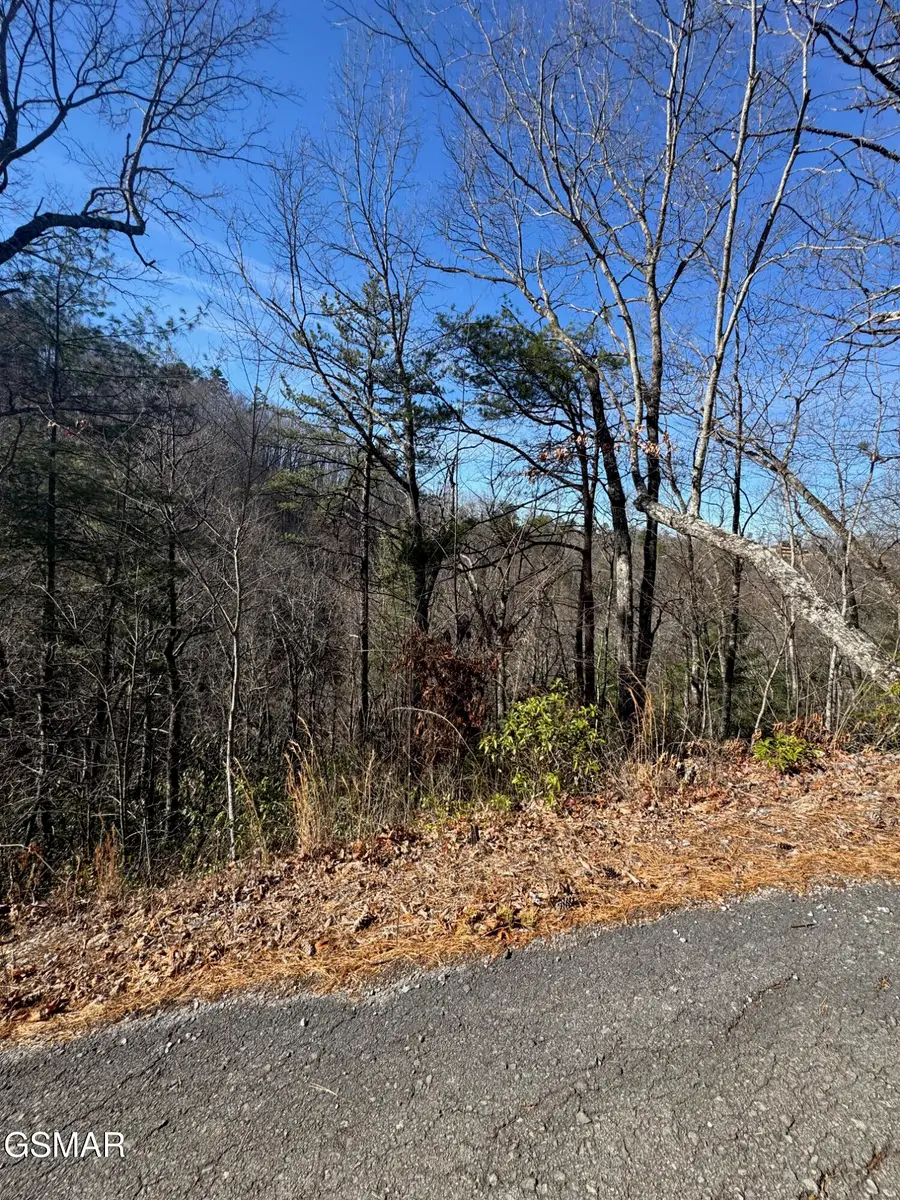 Tract 15 Blossom Hollow Way, Sevierville, TN 37876 - Image #3