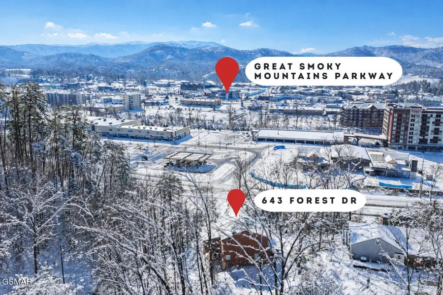 643 Forest Drive, Pigeon Forge, TN 37863 - Image #3