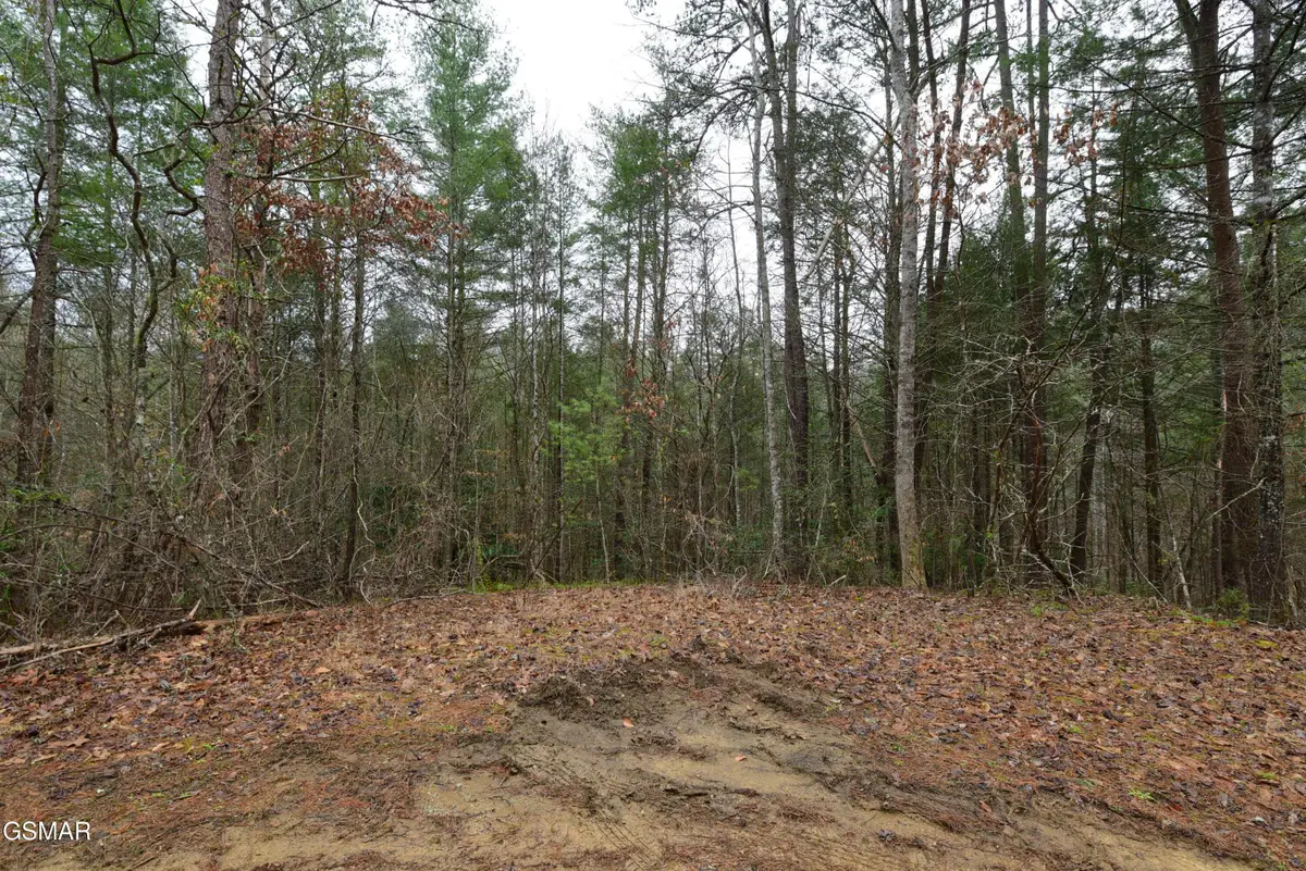 Lot 23 Alpine Ridge Way, Sevierville, TN 37876 - Image #1