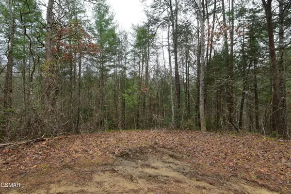 Lot 23 Alpine Ridge Way, Sevierville, TN 37876