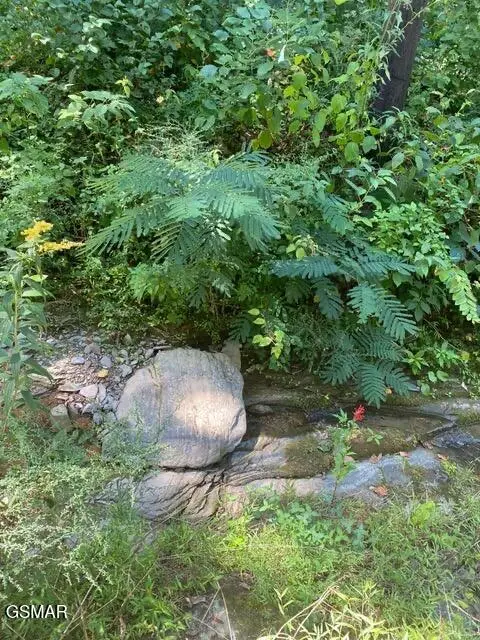 Lot .0001 Stepping Stone Drive, Sevierville, TN 37862 - Image #2