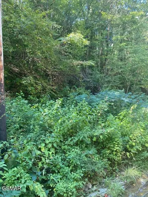 Lot .0001 Stepping Stone Drive, Sevierville, TN 37862 - Image #3