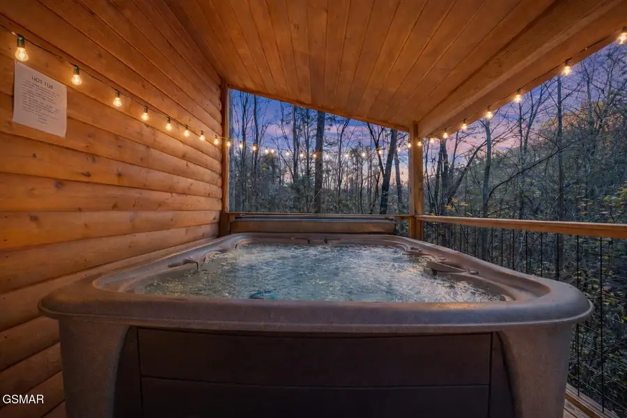 225 Amet Way, Cosby, TN 37722 - #3