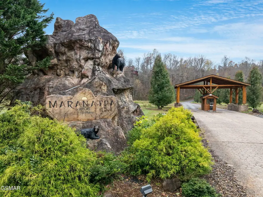 224 Amet Way, Cosby, TN 37722 - #3