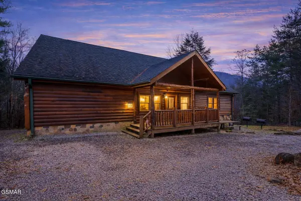 203,220225 Amet Way, Cosby, TN 37722