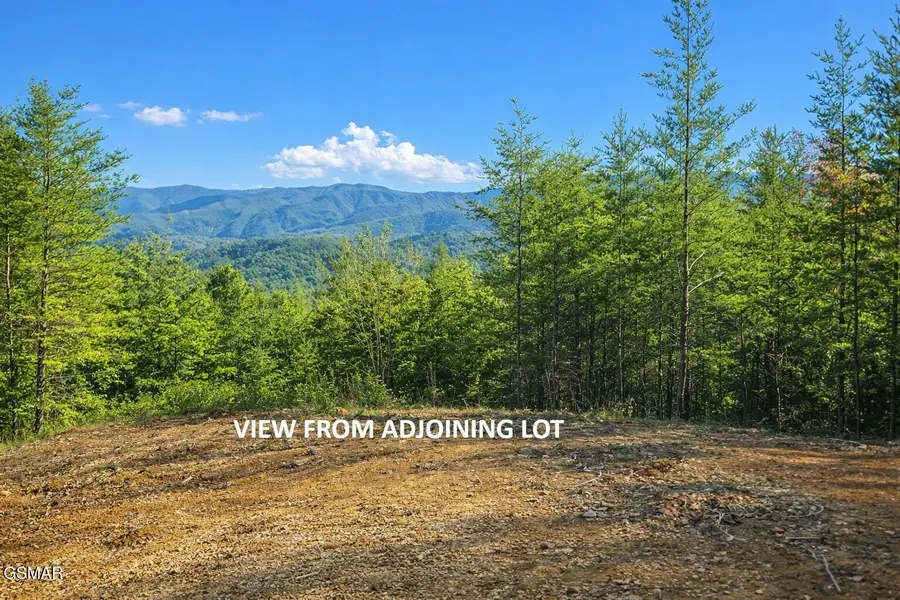 62 Pinnacle Vista Road, Gatlinburg, TN 37738 - Image #3